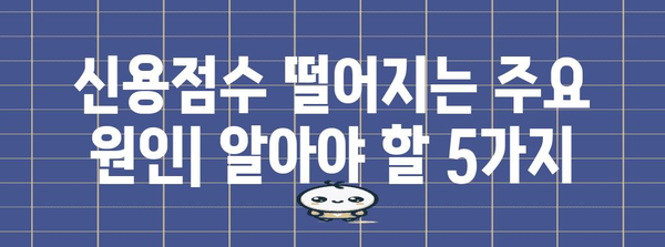 신용점수 하락 실례 분석 | 해결책 마련