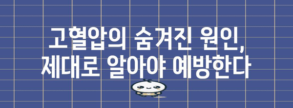 고혈압의 은밀한 원인, 예방과 치료의 핵심