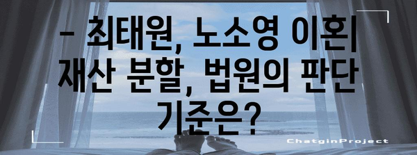 최태원, 노소영 이혼 완전 가이드 | 1조 3800억원 재산 분할