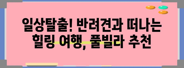 애견과의 특별한 추억! 반려견 동반 풀빌라에서의 잊지 못할 여행