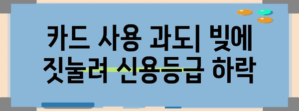 신용점수 하락 실례 분석 | 해결책 마련