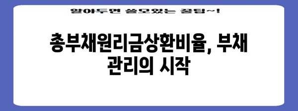 총부채원리금상환비율 계산 및 관리 가이드 | 부채 관리, DTI, DSR, 재무 설계