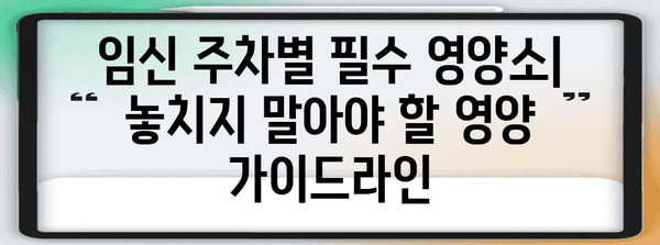 임산부 영양제 가이드 | 건강한 임신을 위한 주별 필수 영양소