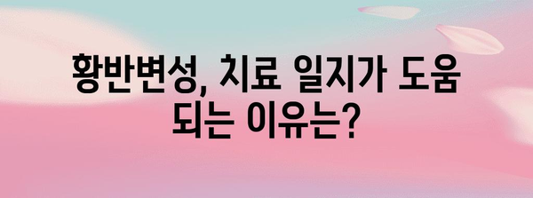 황반변성 치료제 성분과 치료 일지 공개