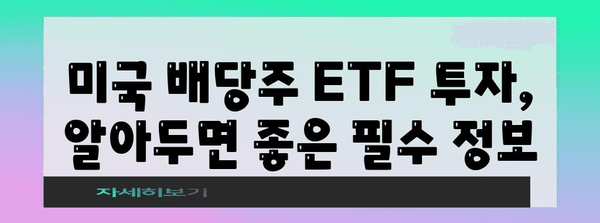 미국 배당주 ETF 투자 101 | 안정적 수익을 위한 길잡이