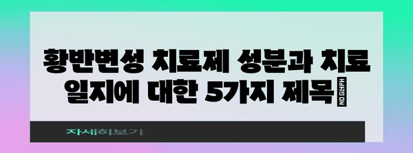 황반변성 치료제 성분과 치료 일지 공개