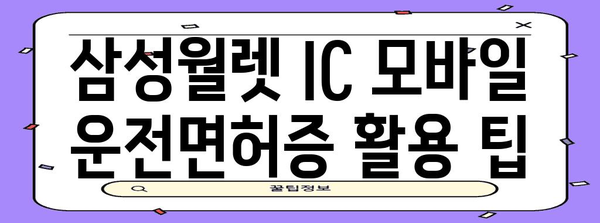 삼성월렛 IC 모바일 운전면허증 | 발급 및 등록 방법