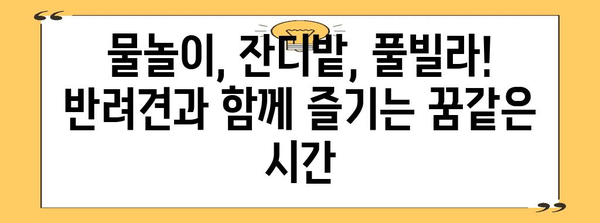 애견과의 특별한 추억! 반려견 동반 풀빌라에서의 잊지 못할 여행