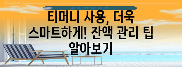 티머니 잔액 확인 및 충전 방법 | 레일플러스, 캐시비도 한 번에!