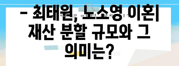 최태원, 노소영 이혼 완전 가이드 | 1조 3800억원 재산 분할