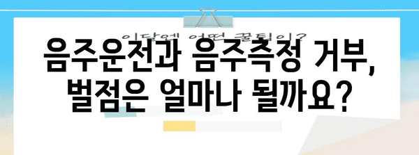 음주운전 vs 음주측정 거부| 어느 죄가 더 무거울까? | 처벌 수위 비교, 벌점, 면허 취소, 실제 사례